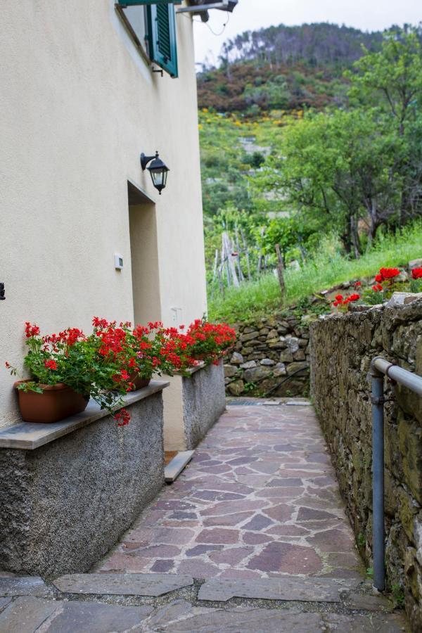Casa Vacanze Tra Le Mura レヴァント エクステリア 写真